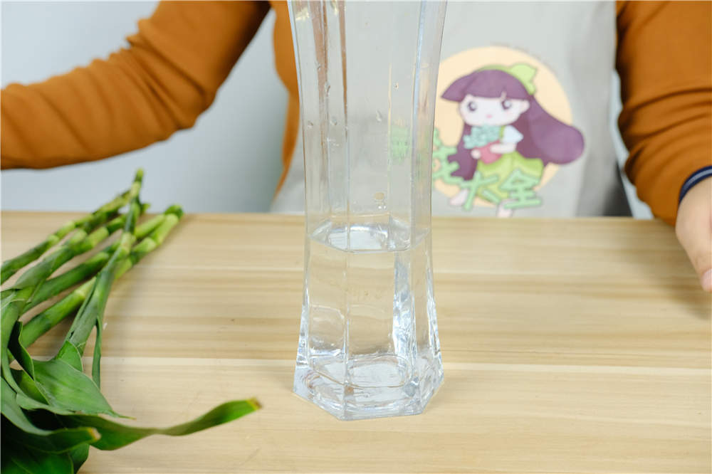 富贵竹 富贵竹