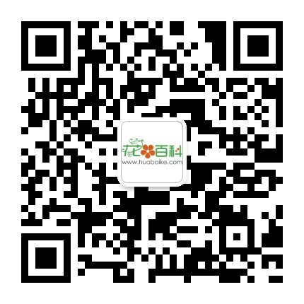 关注微信号：养花大全