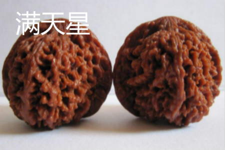 满天星 满天星