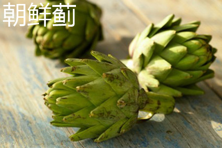 朝鲜蓟 朝鲜蓟