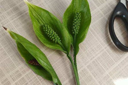 一帆风顺 一帆风顺