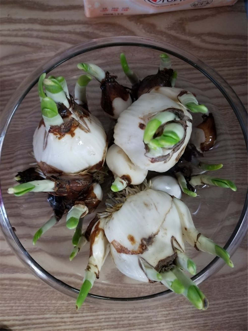 水仙花 水仙花
